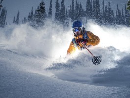 6886体育官网登录入口