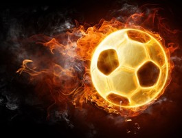 ld乐动官网电话