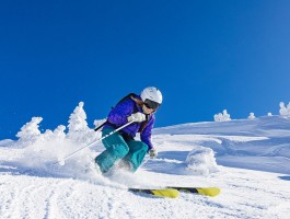 im电竞,im电竞首页