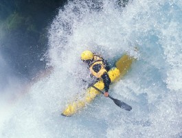 iM聊天官方下载