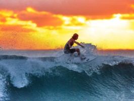 315在线投诉平台官网